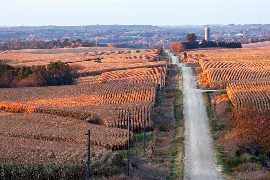 Blog - View of Farm Fields and an Empty Road in the Iowa Countryside During a Fall Sunset